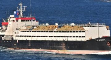 El Spiridon II, el barco con casi 3.000 vacas uruguayas, atracó en Libia y desembarcó a los animales