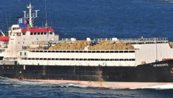 El Spiridon II, el barco con casi 3.000 vacas uruguayas, atracó en Libia y desembarcó a los animales