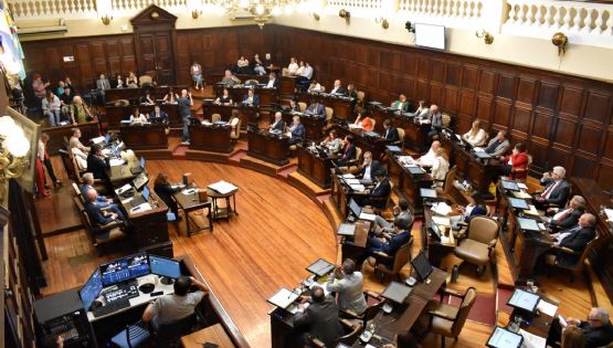 Diputados aprobó la Declaración de Impacto Ambiental de San Jorge