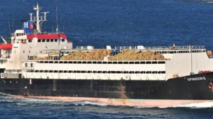 El Spiridon II, el barco con casi 3.000 vacas uruguayas, atracó en Libia y desembarcó a los animales