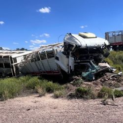Volcó un camión con 65 vacas en Las Catitas 