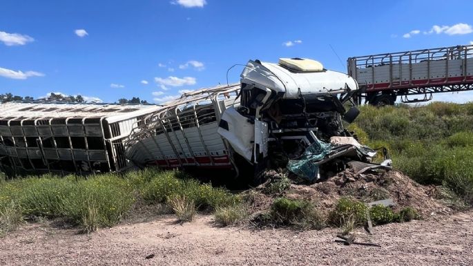 Volcó un camión con 65 vacas en Las Catitas 