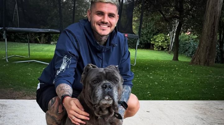 La reacción de Mauro Icardi tras la detención de Nicolás Payarola 