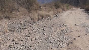 Misión imposible: vecinos denuncian el deplorable estado del camino de ingreso al cerro Arco