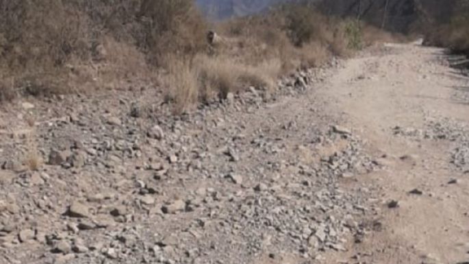 Misión imposible: vecinos denuncian el deplorable estado del camino de ingreso al cerro Arco