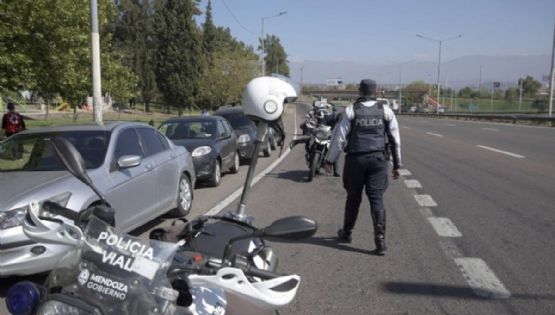 Tres cambios claves en la Licencia de Conducir, tarjeta verde y seguro