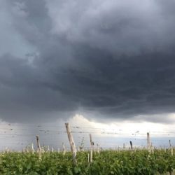 Pronóstico: para el viernes se esperan tormentas con granizo en Mendoza 