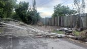 Foto ilustrativa de la nota titulada: Árboles caídos y casas anegadas: el balance de la tormenta en Mendoza