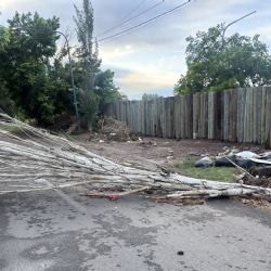 Árboles caídos y casas anegadas: el balance de la tormenta en Mendoza