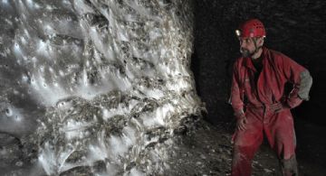 Encontraron una megaciudad subterránea de más de 100 mil arañas