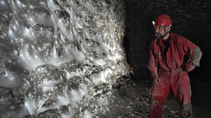 Encontraron una megaciudad subterránea de más de 100 mil arañas