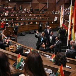 Milei fue ovacionado en el Congreso boliviano y acaparó la atención