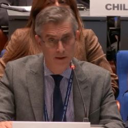 El gobierno de Milei exigió en La Haya que se activen las órdenes de captura contra Maduro