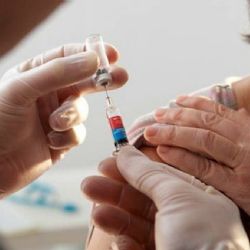 Mendoza refuerza sistemas de vigilancia por gripe H2N3