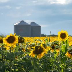 Finalmente, oficializaron la baja de retenciones