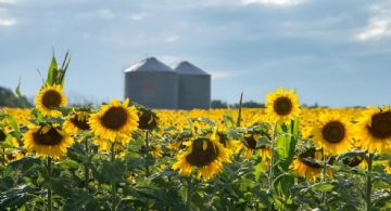 Finalmente, oficializaron la baja de retenciones