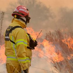 Rige una alerta por peligro de incendios en casi toda la Argentina