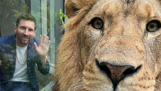 Messi, que está en el país para las Fiestas, realizó el saludo “Jai Mata Di” en la India