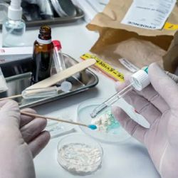 Medetomidina: la droga de uso veterinario que genera una nueva crisis