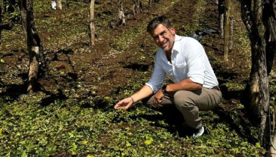 Vadillo cargó contra la lucha antigranizo en San Rafael