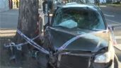 Foto ilustrativa de la nota titulada: Le robó el auto a la tía y chocó contra un árbol: dos heridos