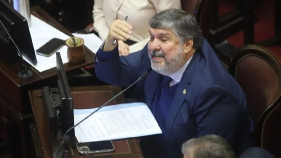 Podría quebrarse el bloque de senadores peronistas en el Senado Nacional