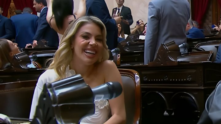 El curioso juramento de Virginia Gallardo en la Cámara de Diputados 