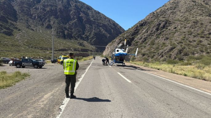 Un vehículo chileno desbarrancó en la ruta 7 