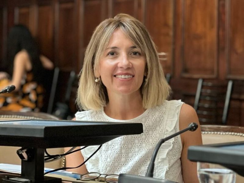 Regalías mineras y autonomía municipal: cuando la renta territorial revela falla institucional (I)