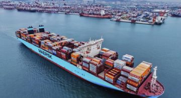 Argentina perdió participación en las exportaciones globales