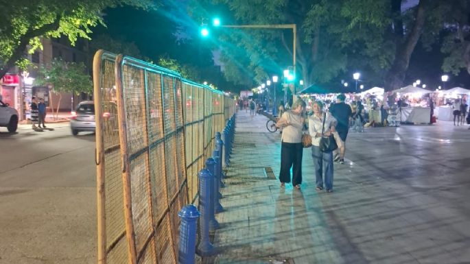 Llegan los ambientalistas antimineros a la Plaza Independencia