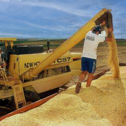 La liquidación del agro creció 25% en 2025 al totalizar más de US$31.300 millones