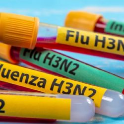 Perú declaró alerta y Bolivia con vigilancia sanitaria por primeros casos sospechosos de influenza A