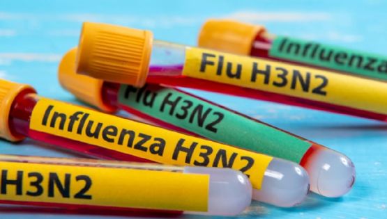 Perú declaró alerta y Bolivia con vigilancia sanitaria por primeros casos sospechosos de influenza A