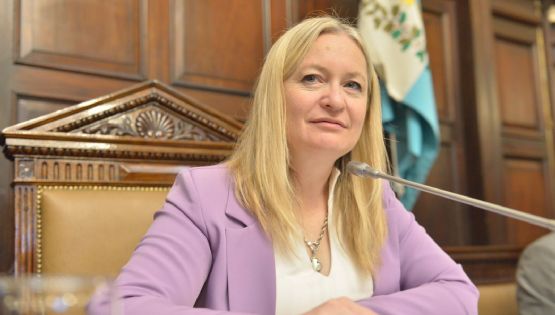 Hebe Casado tuvo que desempatar y se aprobó la reforma del estatuto del empleado público