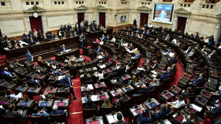 Legisladores pidieron armar una comitiva para viajar a Roma