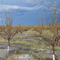 Qué significa la declaración de Emergencia Aluvional y Eléctrica del Gobierno