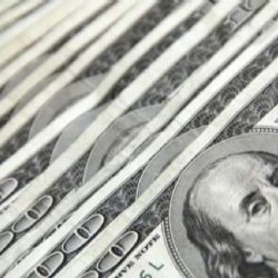 El dólar oficial se mantuvo estable