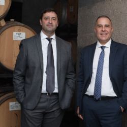 El CEM apoya derogar la ley que creó la Coviar para desregular y reducir costos