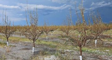 Alerta en Mendoza: viernes inestable con tormentas fuertes y vientos