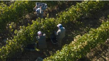 Foeva rechaza oferta salarial por “miserable” en la paritaria vitivinícola y habrá paro el viernes