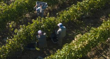 La Fiscalía elevó a juicio la causa por los presuntos balances falsos de Fecovita