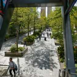 Proponen convertir autos abandonados en jardines móviles