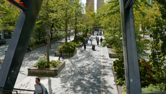 Proponen convertir autos abandonados en jardines móviles