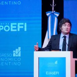 Precupación internacional por una medida de Milei