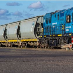 El Gobierno avanza en la privatización del Belgrano Cargas fijando acciones para venderla