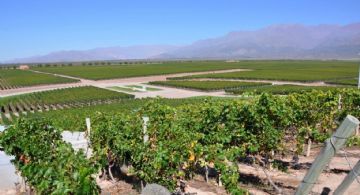 Martes agradable y soleado, antecede al ingreso de un frente frío