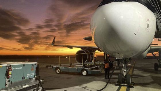 ¿El primer empleo o el primer pasaje de avión?
