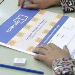 Pruebas Aprender: en lectura, el Gobierno festeja y expertos cuestionan