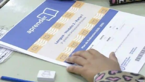 Pruebas Aprender: en lectura, el Gobierno festeja y expertos cuestionan